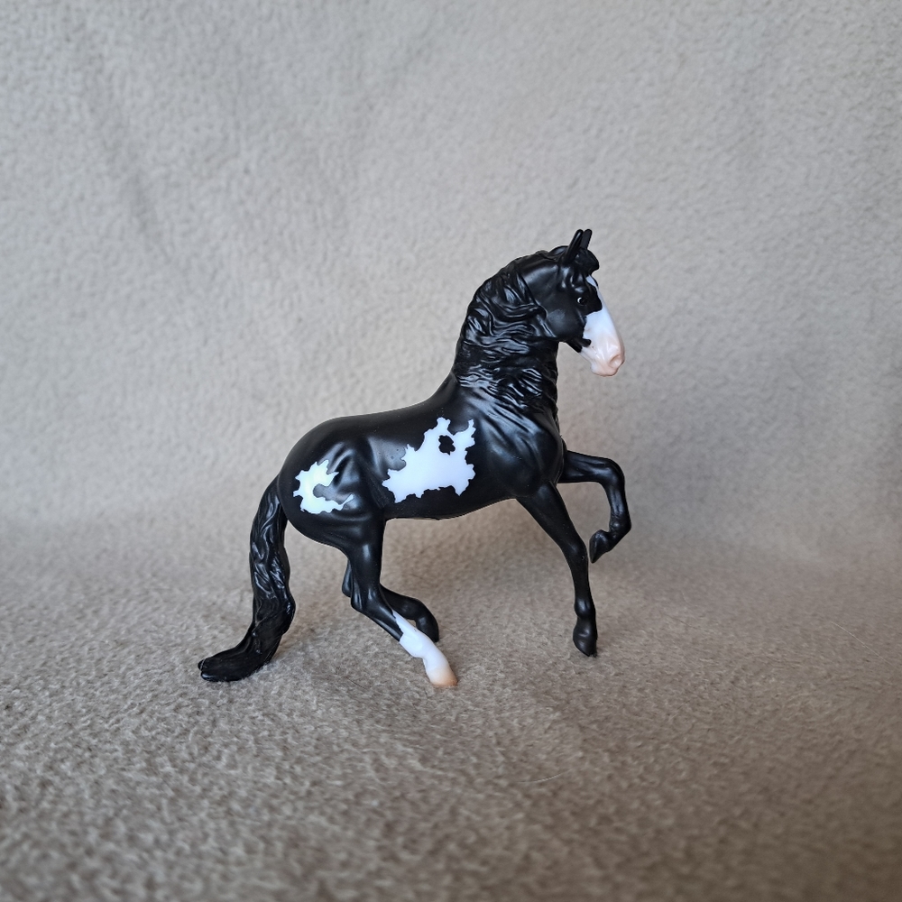 Black Overo Alborozo